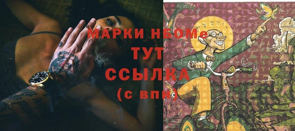 ГАЛЛЮЦИНОГЕННЫЕ ГРИБЫ Алзамай