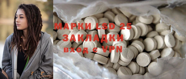 ГАЛЛЮЦИНОГЕННЫЕ ГРИБЫ Алзамай
