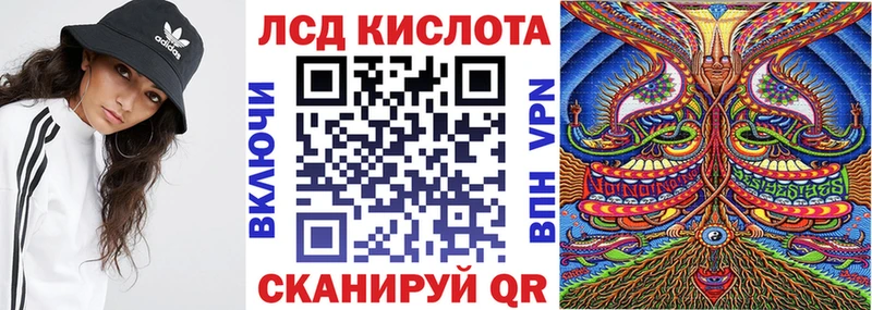 omg как войти купить цена Пугачёв Марки NBOMe 1,8мг