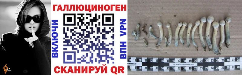 Галлюциногенные грибы MAGIC MUSHROOMS  Пугачёв 